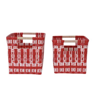 punnets Holly, set of 2